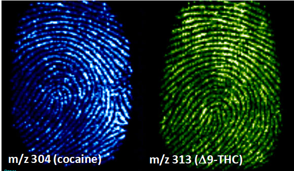 Imaging of chemicals within a latent fingerprint by DESI-MS